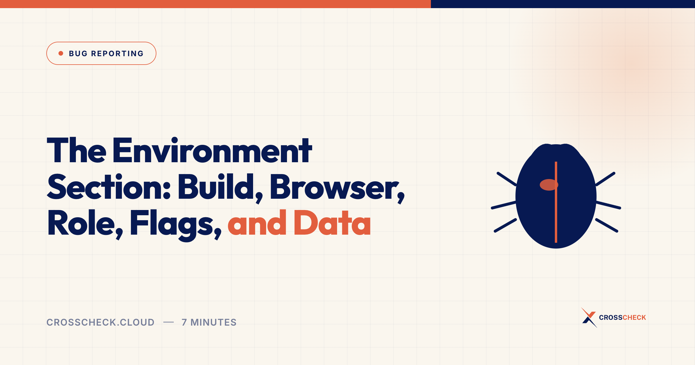 The Environment Section: Build, Browser, Role, Flags, and Data